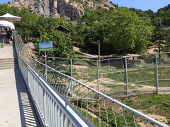 -西霞口神雕山野生动物世界