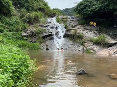 -东莞市大岭山森林公园