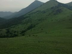 -大姆山草场