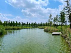 -春花秋色城市公园