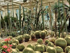 -石家庄市植物园