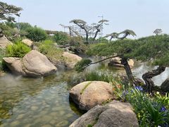 -罗红摄影艺术馆