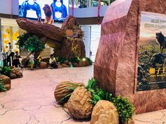 -CGV影城(源著IMAX店)