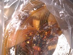 -郭林家常菜(洋桥店)