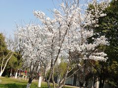 -南通濠河风景名胜区