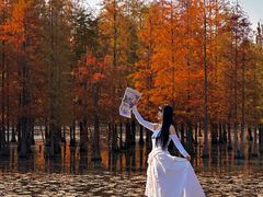 -白鹭湾湿地公园