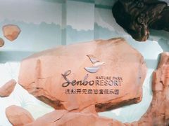 -杭州开元森泊度假乐园