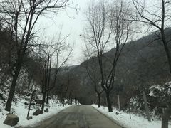 -抱龙峪