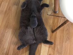 -壹人壹像工作室(购物公园店)