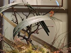 -东莱海上(长宁来福士店)