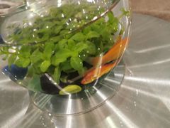 -蜀宴·家宴馆(升伟晶石店)