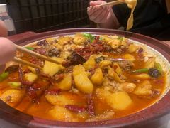 -巴依老爷新疆美食(常营店)