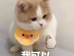 -南师大仙林校区东区食堂