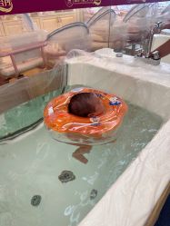 -金月汇月子会所(江门店)