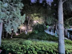 -黄村公园