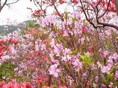 -岳西天峡风景区