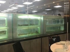 -盒马渔市餐厅
