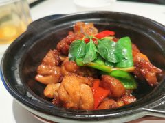 金不换三杯浓香滑鸡煲-太兴餐厅(东方广场分店)