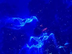 -海合安武汉极地海洋公园