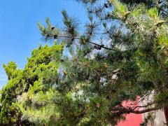 -大钟寺古钟博物馆