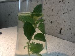 柠檬薄荷水-老佛爷铜炉蛙锅(海岸城店)