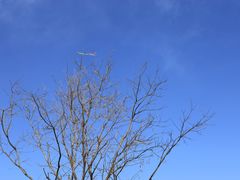 -朝阳公园