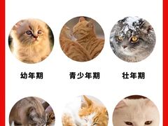 -爱妮康宠物医院·干细胞免疫细胞·肿瘤·心脏(张江店)