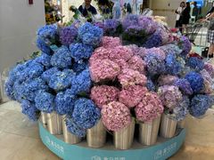 -盒马鲜生(皇庭广场店)