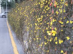 -左舞和风屋便当(金地店)