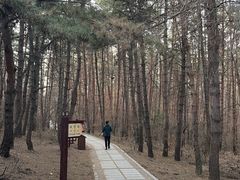 -帽儿山国家森林公园