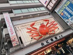 -蟹道乐(道顿堀本店)