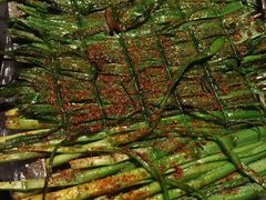 -银城烧烤(秦岭路店)