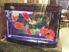 景观位-郭记烤肉(正阳街店)