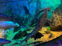 -沈阳海洋探索中心