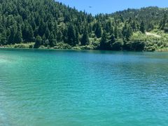 -武陵山森林公园