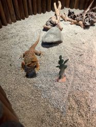 -酷嗒动物文化乐园(cutezoo西溪乐天城店)