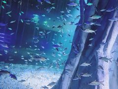 -北戴河圣蓝海洋公园