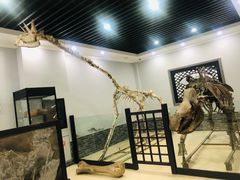 -游龙石文化科普馆