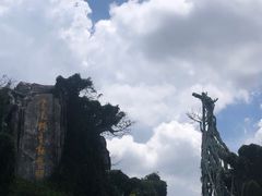 -云南野生动物园