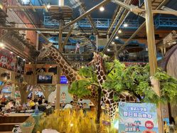 -卡通尼·Safari非洲探索乐园·生日会(金桥国际商业广场店)