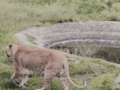 -西安秦岭野生动物园