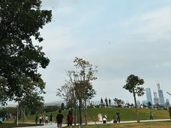 -深圳人才公园