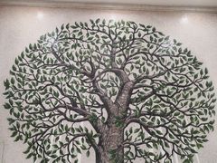 -武汉大学图书馆·文理学部总馆