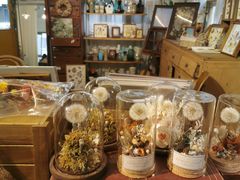 -知物癖(牛王庙店)