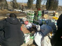 -蒲河大集