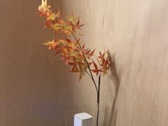 -耳道精致采耳(星河WORLD COCOPARK店)