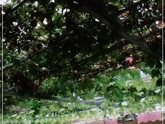 -伊隆斋(什刹海店)