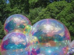 -上海共青森林公园