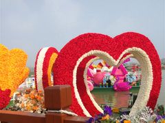 -荷兰花海