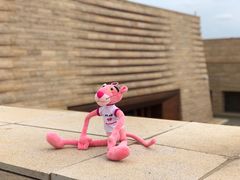 -盘龙城国家考古遗址公园